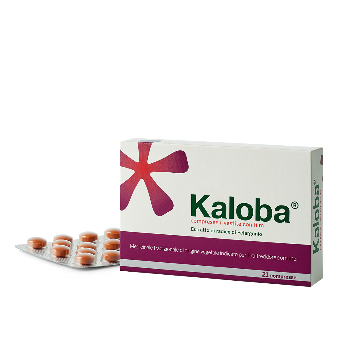 KALOBA*21CPR RIV - Doctor Vinz