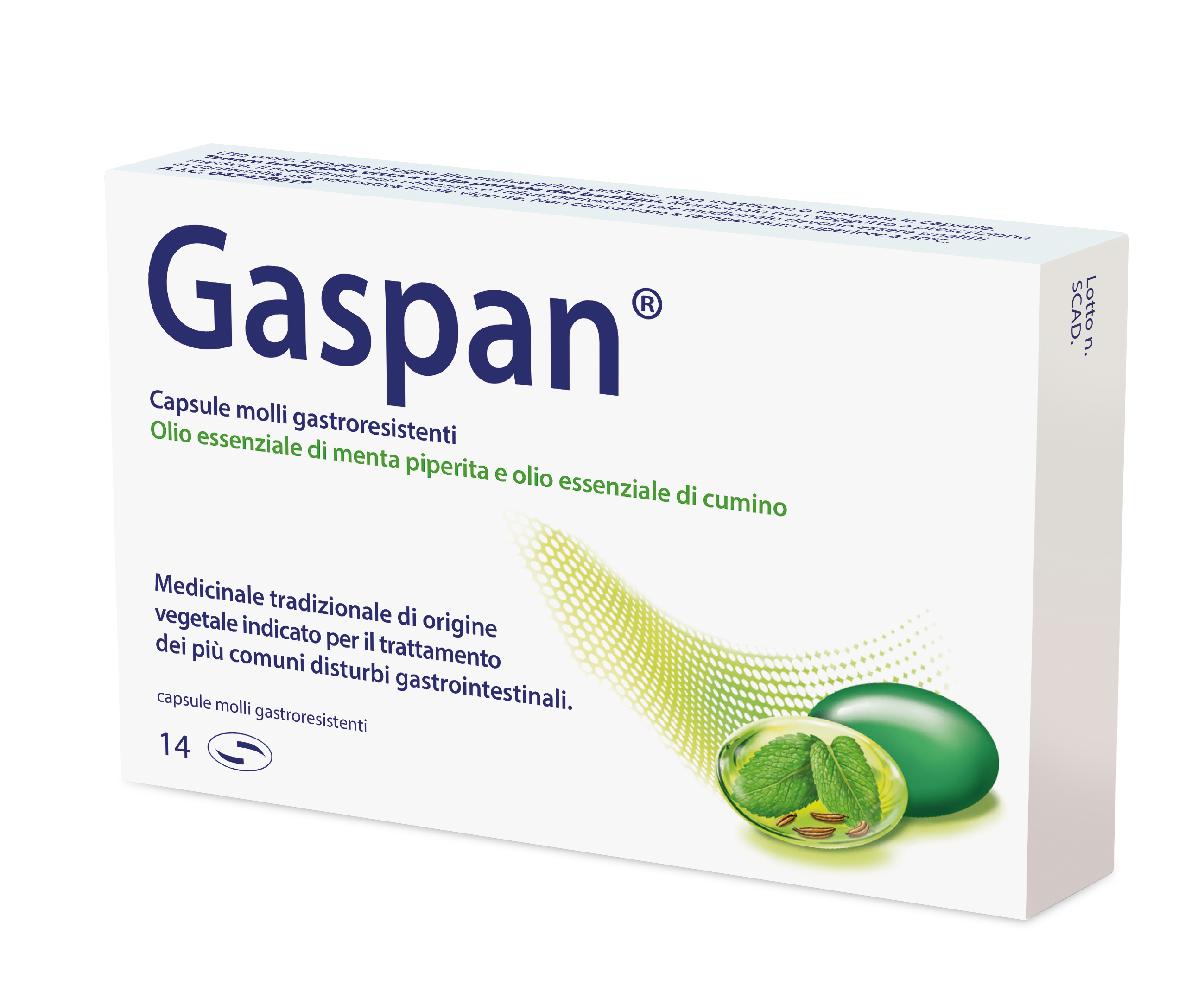 GASPAN*14CPS MOLLI GASTRORES - Doctor Vinz