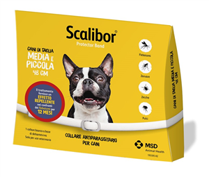 SCALIBOR PROTECTOR BAND*BI48CM - Doctor Vinz