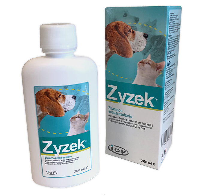 ZYZEK SHAMPOO ANT*FL PE 200ML - Doctor Vinz