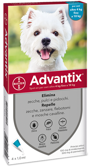 ADVANTIX SPOT ON*4PIP 4-10KG - Doctor Vinz