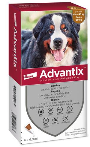 ADVANTIX SPOT ON*6PIP 40-60KG - Doctor Vinz