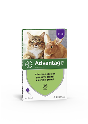 ADVANTAGE*4PIP 0,8ML SPOTON - Doctor Vinz