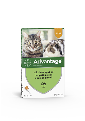ADVANTAGE*4PIP 0,4ML SPOTON - Doctor Vinz