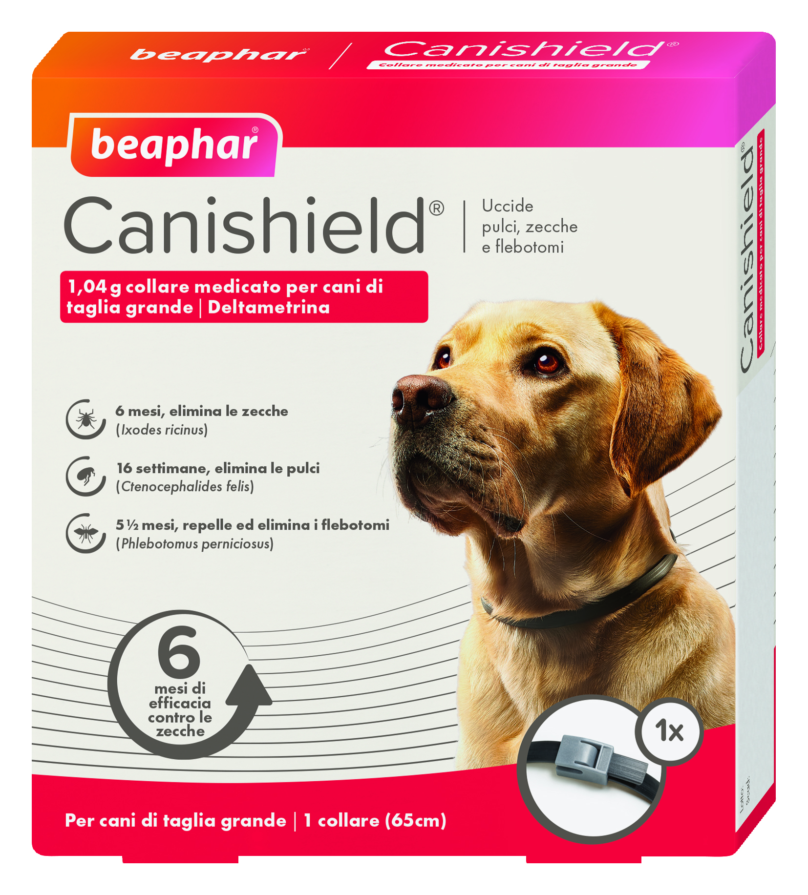CANISHIELD*COLLARE CANI GRANDI - Doctor Vinz