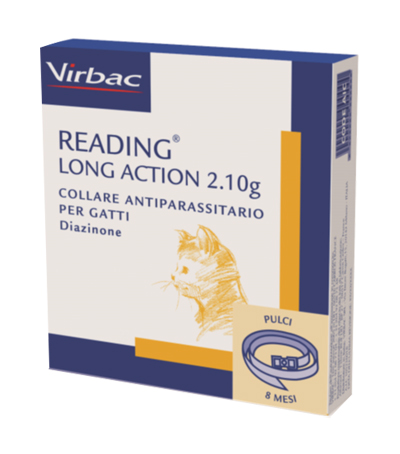 READING LONG ACTION*COLLARE GA - Doctor Vinz