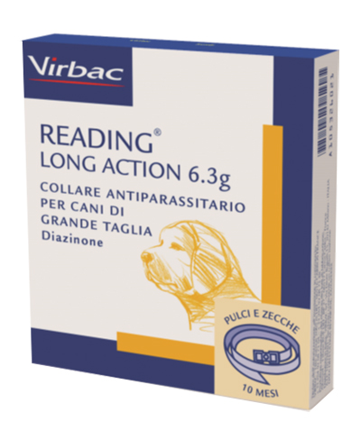 READING LONG ACT*CANI GRANDI - Doctor Vinz