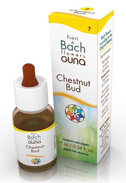 CHESTNUT BUD GOCCE 10 ML - Doctor Vinz