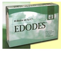 EDODES 16 BUSTINE - Doctor Vinz