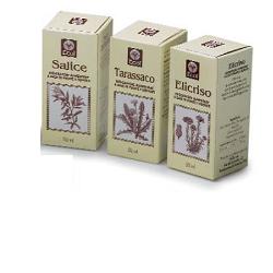 TE VERDE 50 ML GOCCE - Doctor Vinz