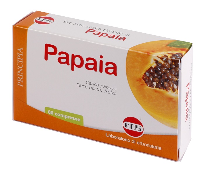 PAPAIA ESTRATTO SECCO 60 COMPRESSE - Doctor Vinz