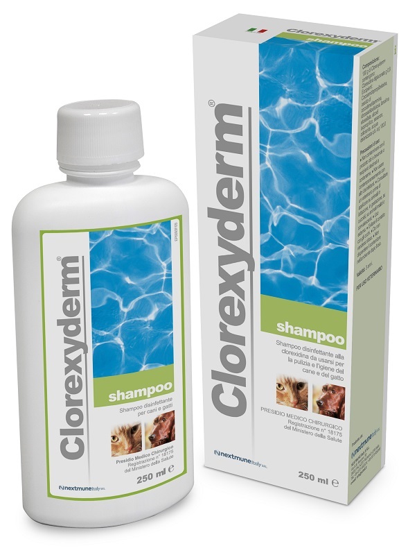 CLOREXYDERM SHAMPOO 250 ML - Doctor Vinz