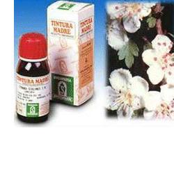 BIANCOSPINO 10 50ML TM - Doctor Vinz