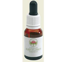 SHE OAK AUSTRALIAN 15ML GTT - Doctor Vinz