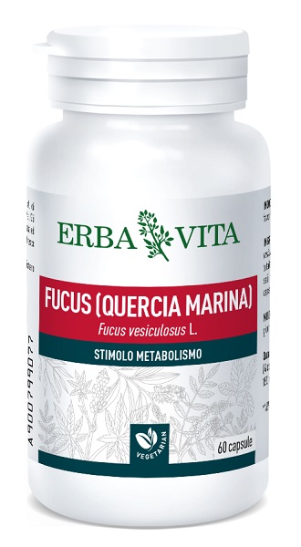 FUCUS 60 CAPSULE 500 MG - Doctor Vinz