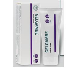 LFP GEL GAMBE GINKGO 100 ML - Doctor Vinz