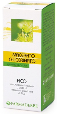 FICO GEMME MACERATO GLICERINATO 50 ML - Doctor Vinz
