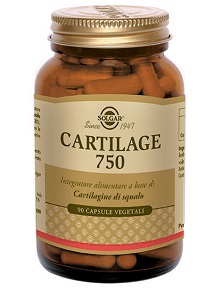 CARTILAGE 750 90 CAPSULE - Doctor Vinz
