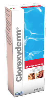 CLOREXYDERM SHAMPOO FORTE 200 ML - Doctor Vinz