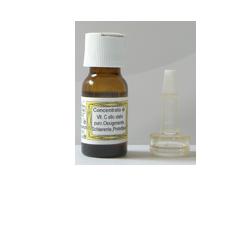 SIDEA C INTEGRALE VITAMINA C 10 ML - Doctor Vinz