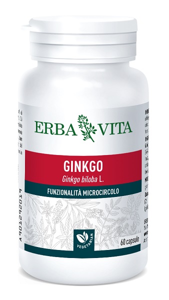 GINKOBILOBA 60 CAPSULE - Doctor Vinz