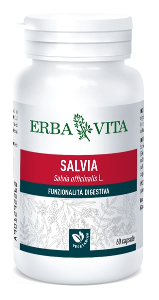 SALVIA 60 CAPSULE - Doctor Vinz