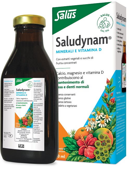 SALUDYNAM 250 ML - Doctor Vinz