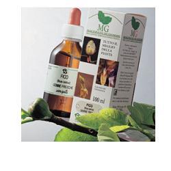 MIRTILLO RO 100ML MG - Doctor Vinz