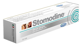 STOMODINE GEL GENG CANI 30ML - Doctor Vinz