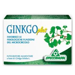 GINKGO PLUS 30 CAPSULE - Doctor Vinz