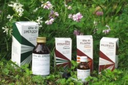 RAEMIL PRIMULA OLIO 25 ML - Doctor Vinz