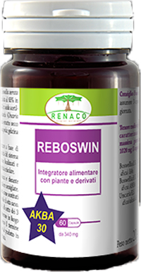 REBOSWIN 60 CAPSULE - Doctor Vinz
