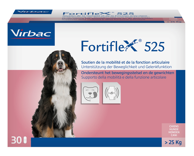 FORTIFLEX 525 MG 30 COMPRESSE APPETIBILI - Doctor Vinz
