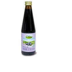 MIRTILLO SUCCO 330 ML - Doctor Vinz