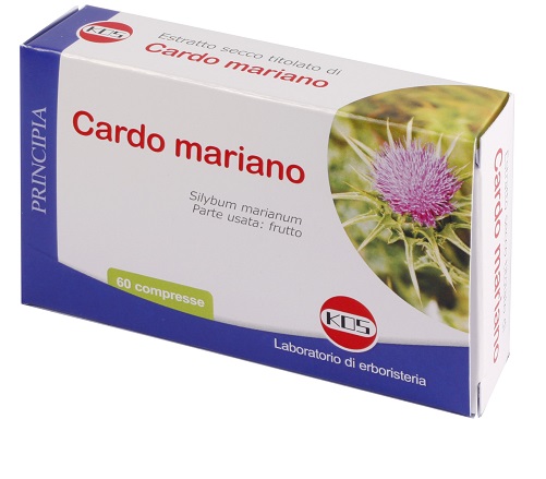 CARDO MARIANO ESTRATTO SECCO 60 COMPRESSE - Doctor Vinz