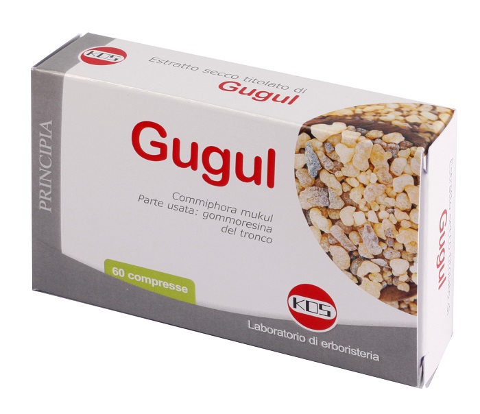 GUGUL ESTRATTO SECCO 60 COMPRESSE - Doctor Vinz