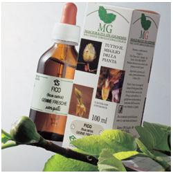 SEQUOIA 100ML MG - Doctor Vinz