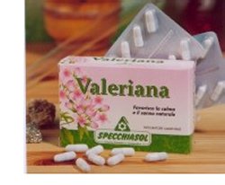 VALERIANA ESTRATTO ERBE 30 CAPSULE - Doctor Vinz