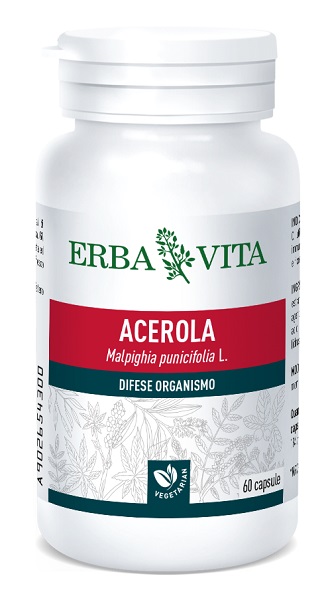 ACEROLA 60 CAPSULE 550 MG - Doctor Vinz