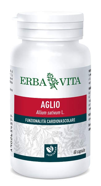 AGLIO 60 CAPSULE 500 MG - Doctor Vinz