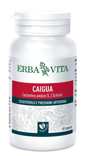 CAIGUA 60 CAPSULE 400 MG - Doctor Vinz