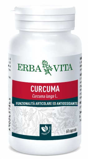 CURCUMA 60 CAPSULE 450 MG - Doctor Vinz