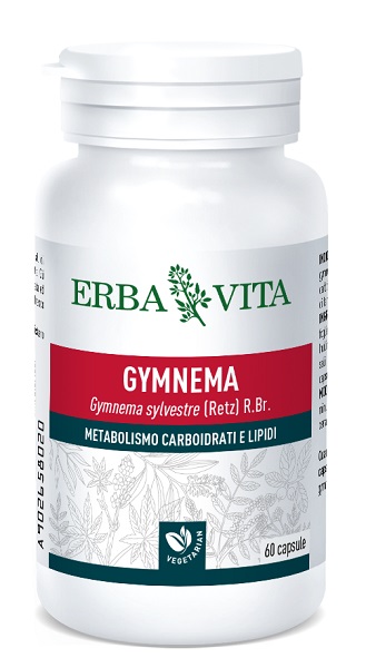 GYMNEMA SYLVESTRE 60 CAPSULE 350 MG - Doctor Vinz