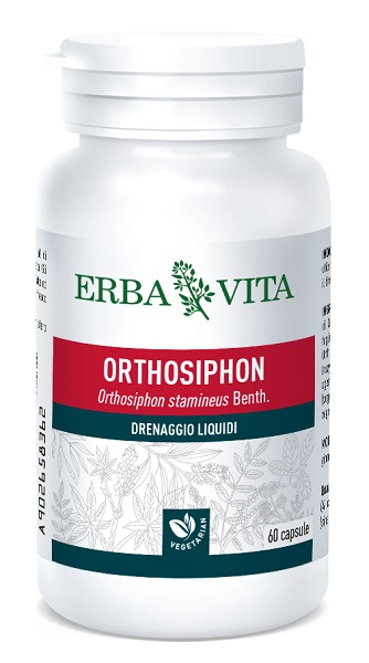 ORTOSIPHON 60 CAPSULE 400 MG - Doctor Vinz