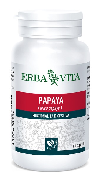 PAPAYA 60 CAPSULE 400 MG - Doctor Vinz