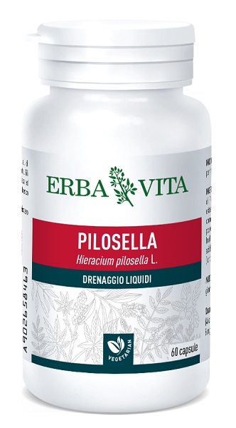 PILOSELLA 60 CAPSULE 400 MG - Doctor Vinz