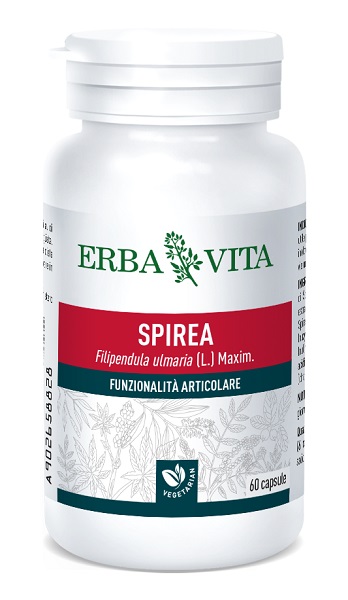 SPIREA ULMARIA 60 CAPSULE 400 MG - Doctor Vinz