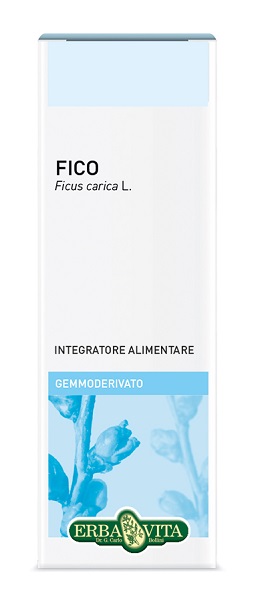 GEMMODERIVATO FICO 50 ML - Doctor Vinz