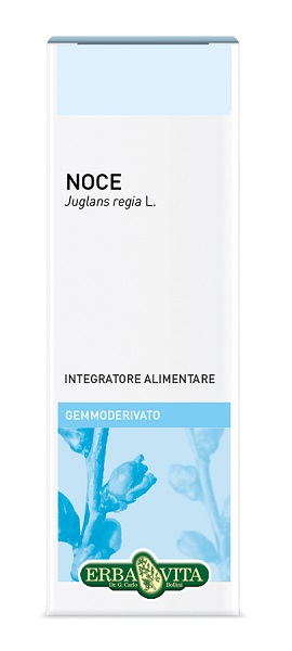 GEMMODERIVATO NOCE 50 ML - Doctor Vinz