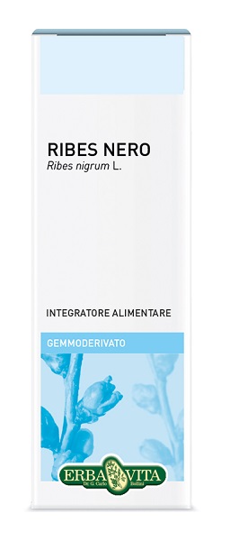 GEMMODERIVATO RIBES NERO 50 ML - Doctor Vinz